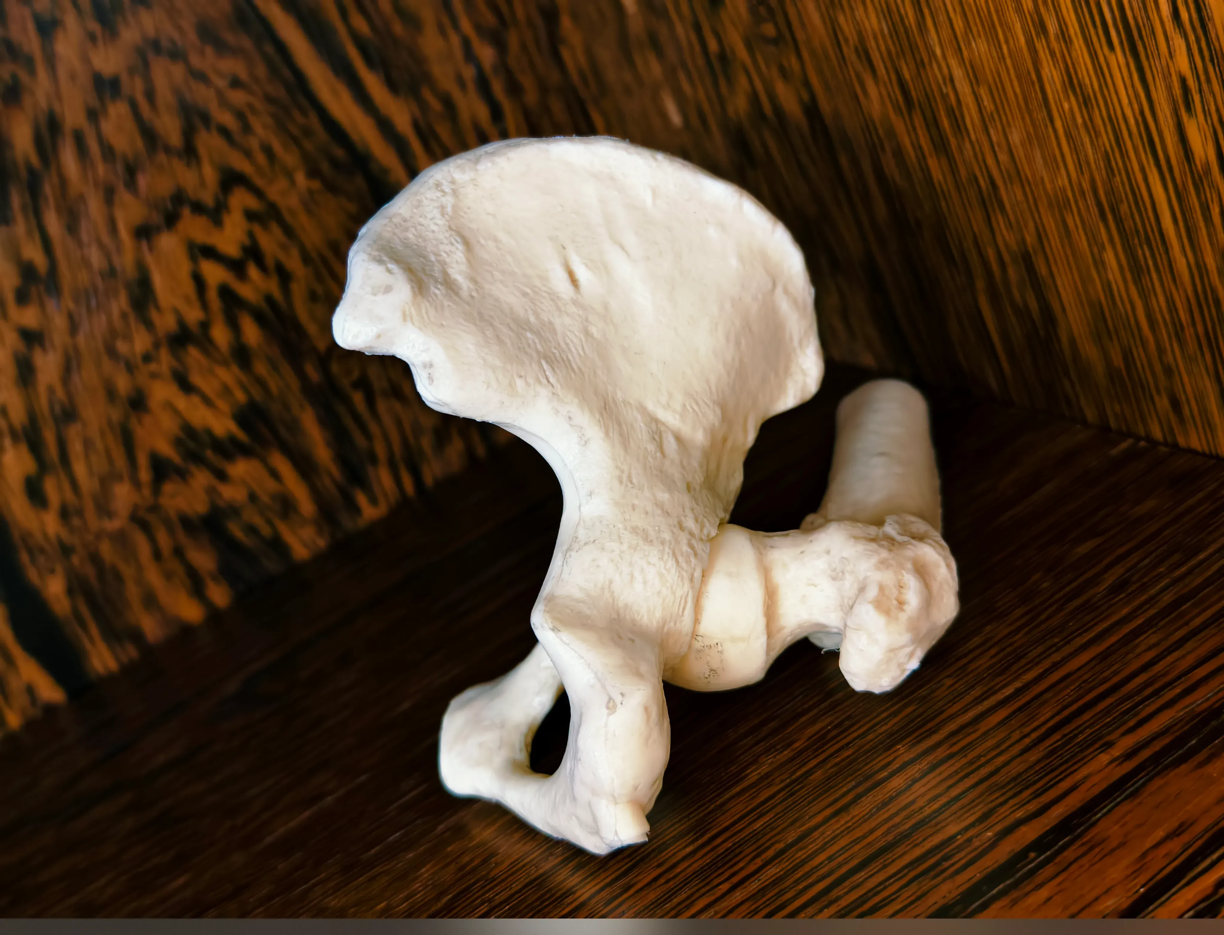 Praxis Johannisstraße – Sprechzimmer 2 – Motiv 9