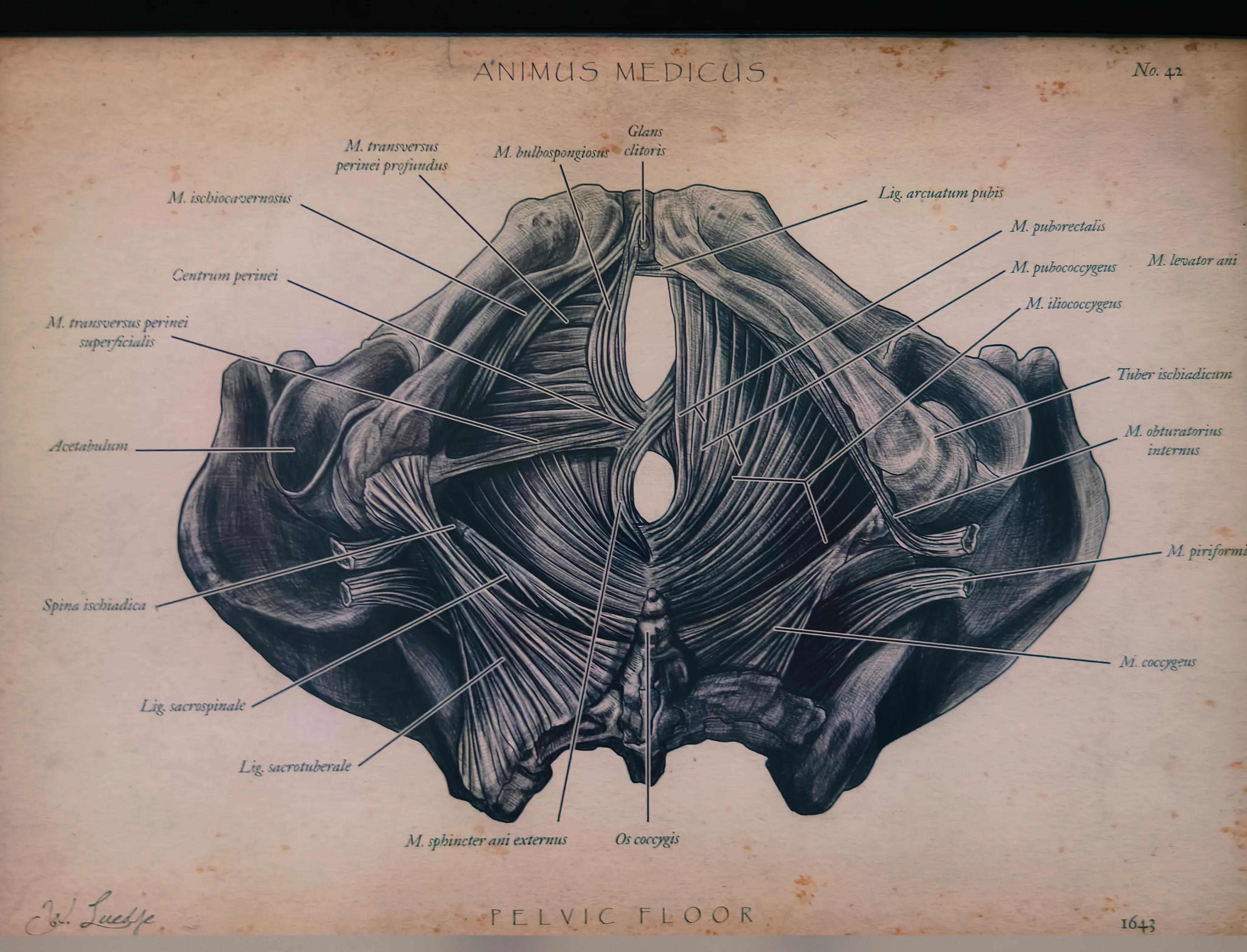 Allgemeine Eindrücke