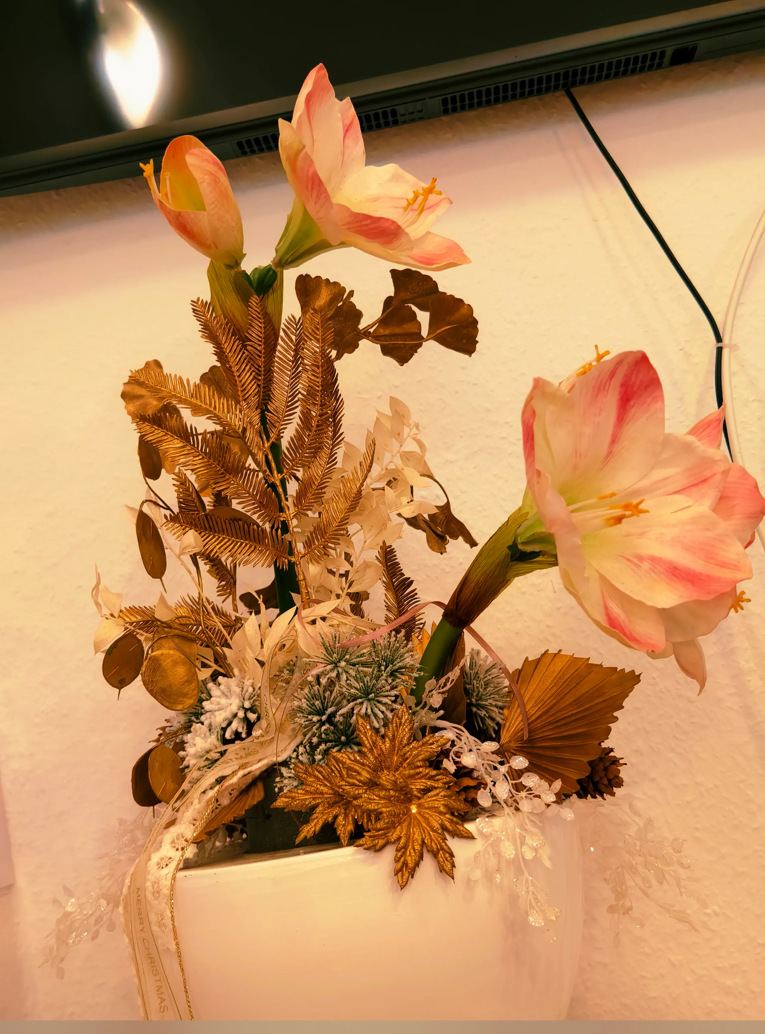 Praxis Am Salzmarkt – Wartezimmer – Motiv 14